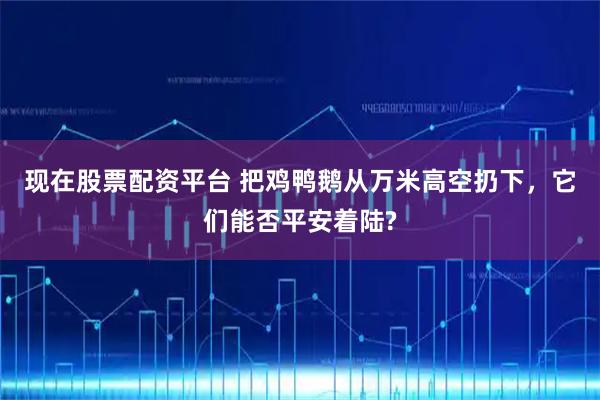 现在股票配资平台 把鸡鸭鹅从万米高空扔下，它们能否平安着陆?