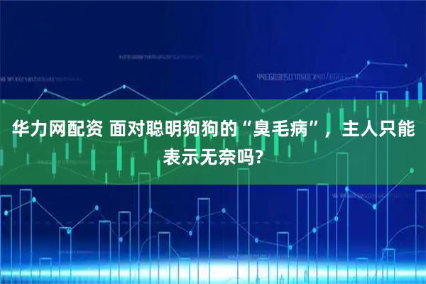 华力网配资 面对聪明狗狗的“臭毛病”,主人只能表示无奈吗?