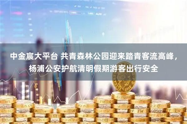 中金宸大平台 共青森林公园迎来踏青客流高峰,杨浦公安护航清明假期游客出行安全