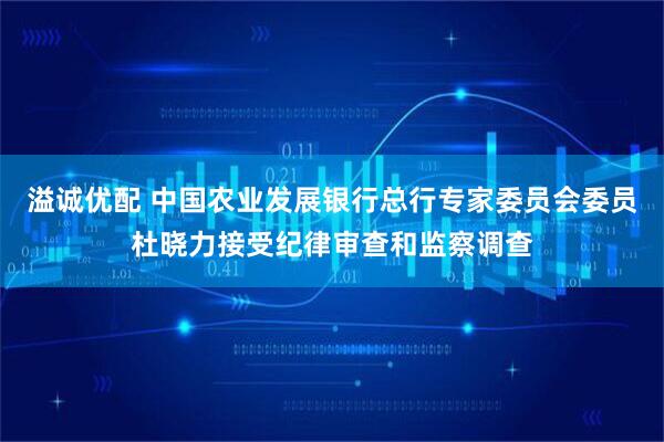 溢诚优配 中国农业发展银行总行专家委员会委员杜晓力接受纪律审查和监察调查
